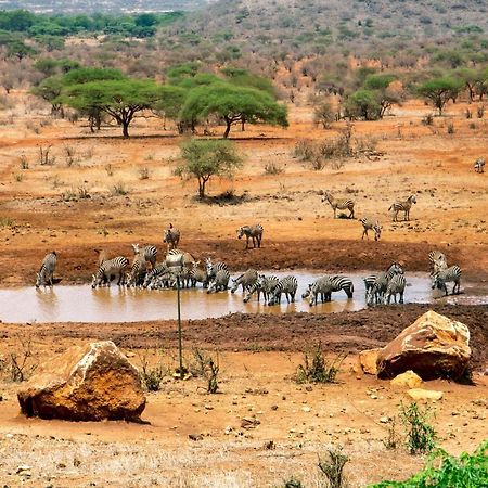 Kilaguni Serena Safari Lodge Tsavo Ngoại thất bức ảnh