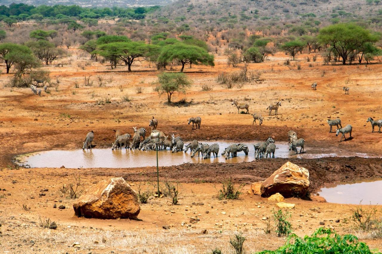 Kilaguni Serena Safari Lodge Tsavo Ngoại thất bức ảnh