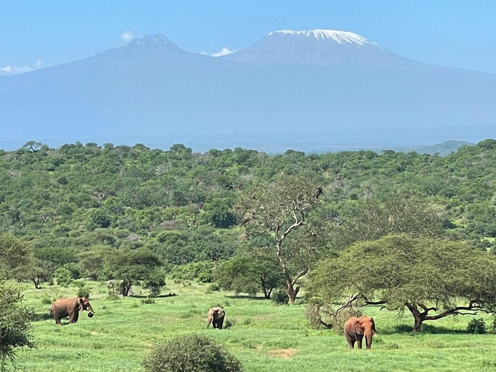 Kilaguni Serena Safari Lodge Tsavo Ngoại thất bức ảnh