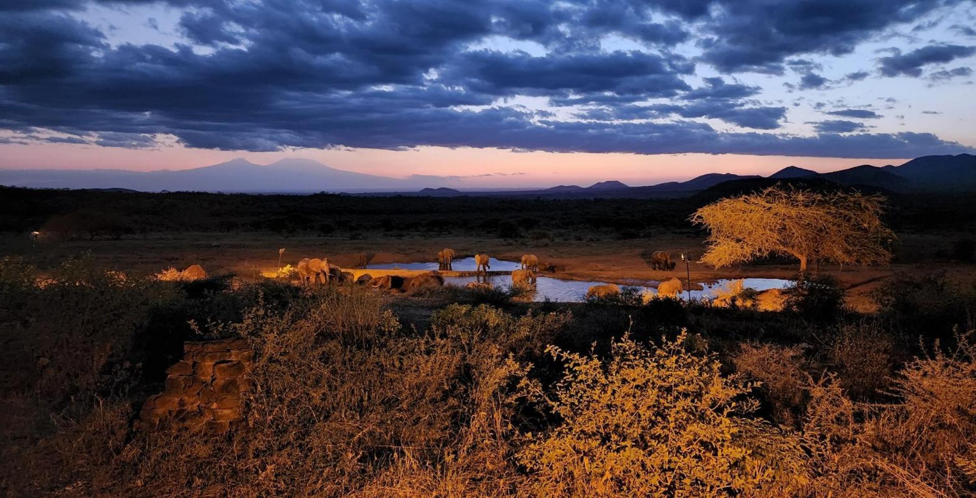 Kilaguni Serena Safari Lodge Tsavo Ngoại thất bức ảnh