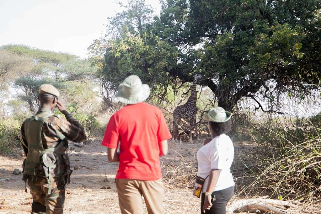 Kilaguni Serena Safari Lodge Tsavo Tiện nghi bức ảnh