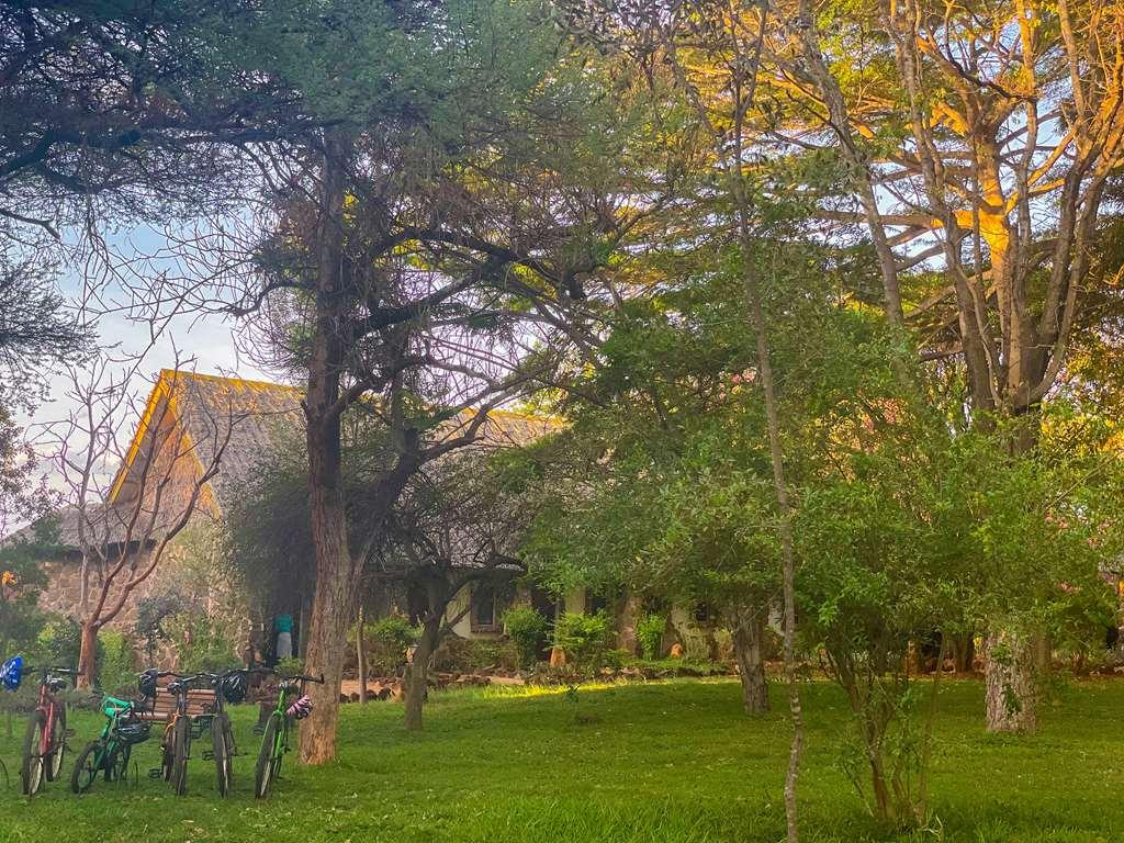 Kilaguni Serena Safari Lodge Tsavo Tiện nghi bức ảnh